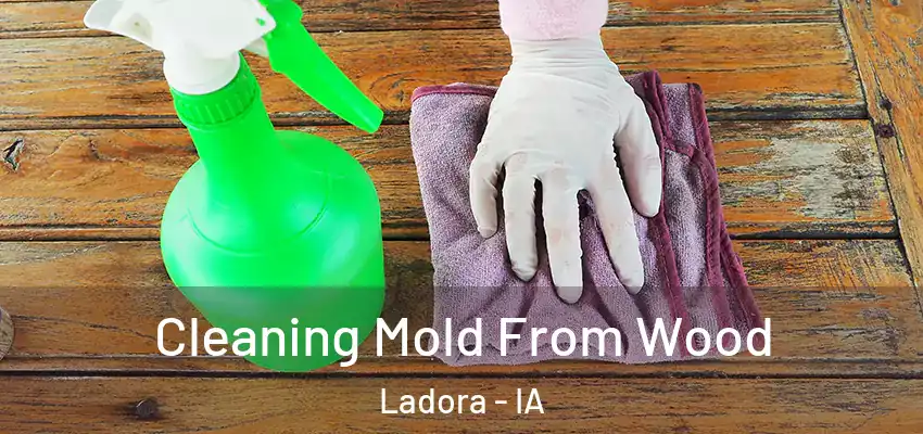  Cleaning Mold From Wood Ladora - IA