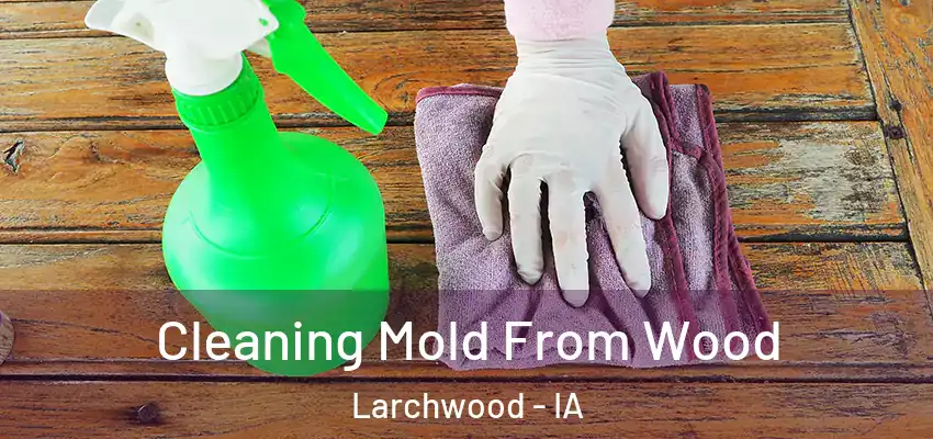 Cleaning Mold From Wood Larchwood - IA