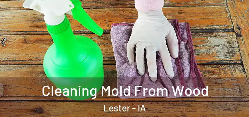  Cleaning Mold From Wood Lester - IA
