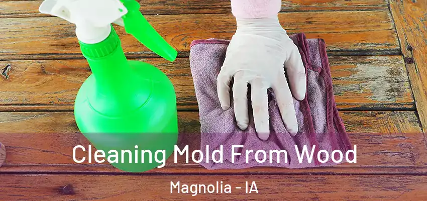  Cleaning Mold From Wood Magnolia - IA