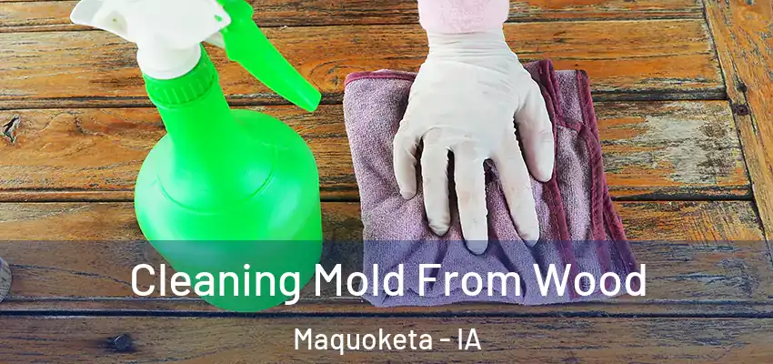  Cleaning Mold From Wood Maquoketa - IA