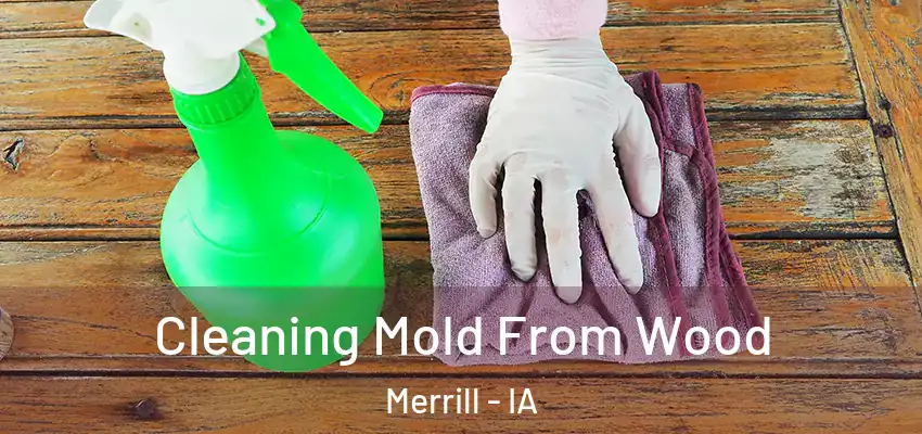 Cleaning Mold From Wood Merrill - IA
