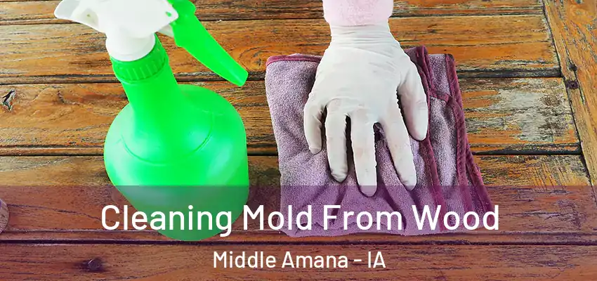 Cleaning Mold From Wood Middle Amana - IA