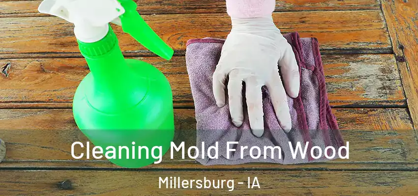 Cleaning Mold From Wood Millersburg - IA