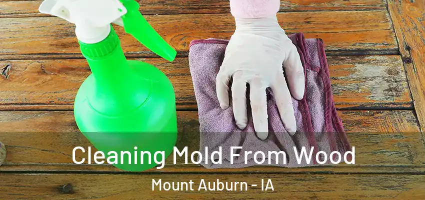  Cleaning Mold From Wood Mount Auburn - IA