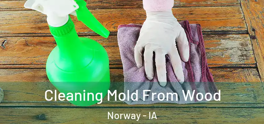  Cleaning Mold From Wood Norway - IA