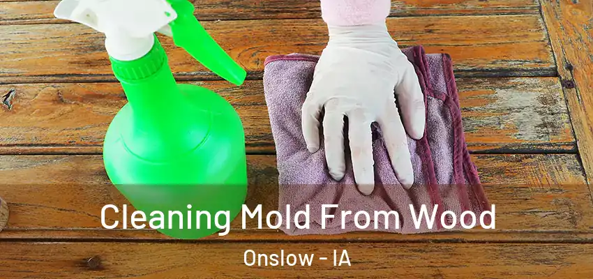  Cleaning Mold From Wood Onslow - IA