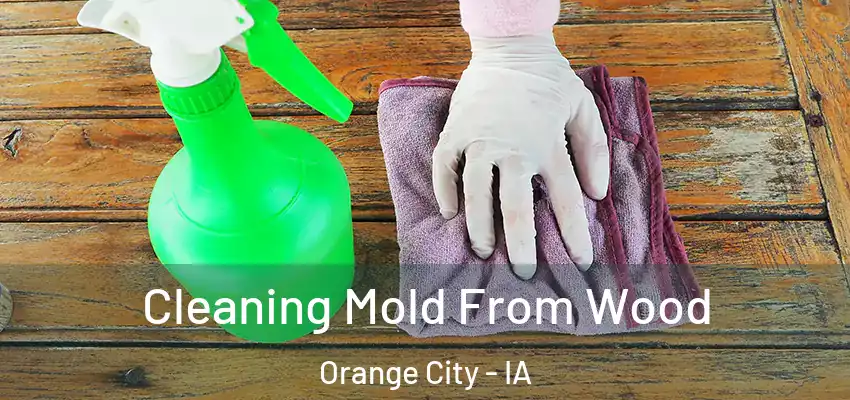 Cleaning Mold From Wood Orange City - IA