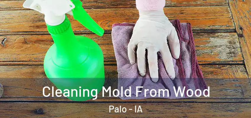 Cleaning Mold From Wood Palo - IA