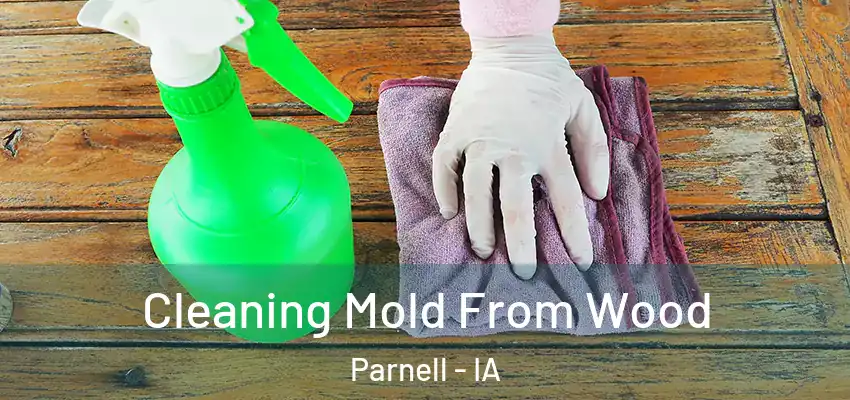 Cleaning Mold From Wood Parnell - IA