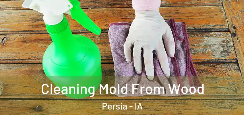  Cleaning Mold From Wood Persia - IA