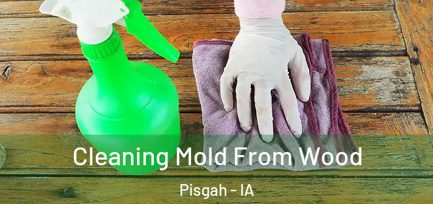  Cleaning Mold From Wood Pisgah - IA