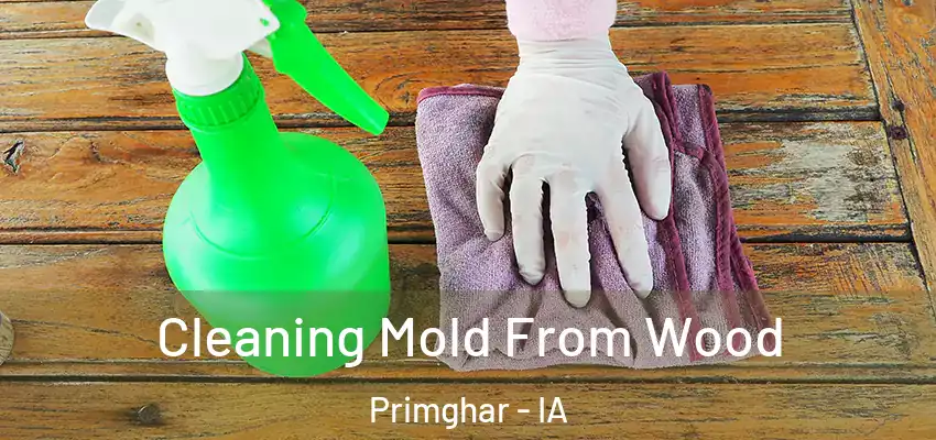  Cleaning Mold From Wood Primghar - IA