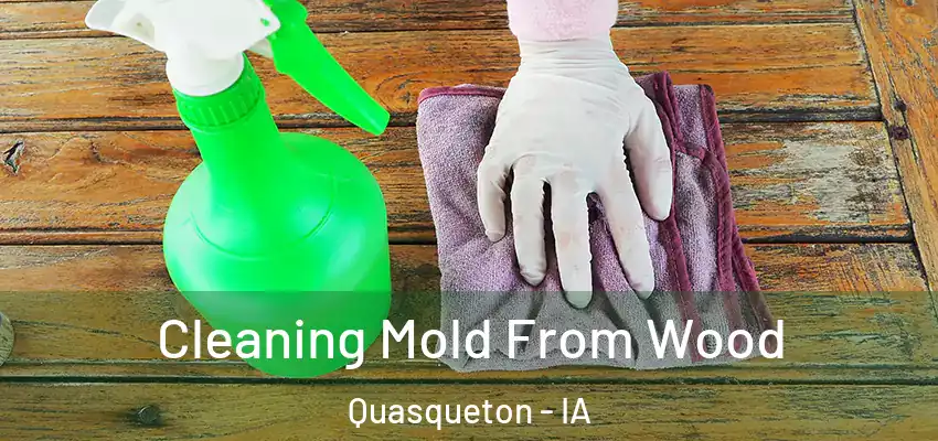 Cleaning Mold From Wood Quasqueton - IA