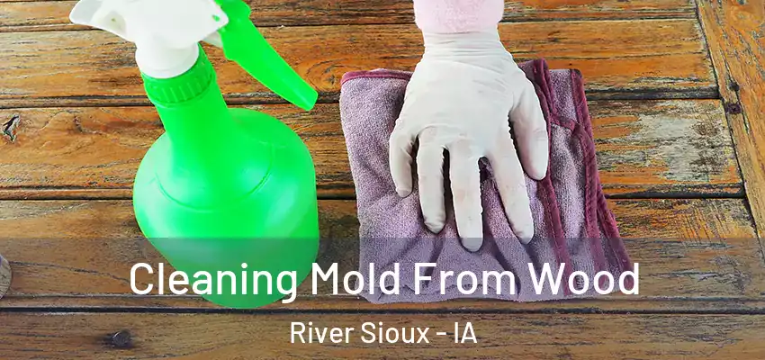  Cleaning Mold From Wood River Sioux - IA
