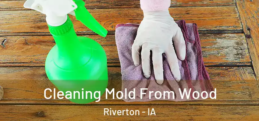 Cleaning Mold From Wood Riverton - IA