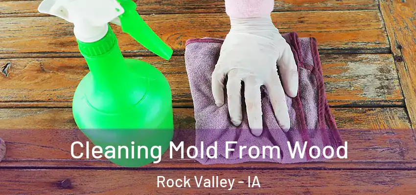  Cleaning Mold From Wood Rock Valley - IA