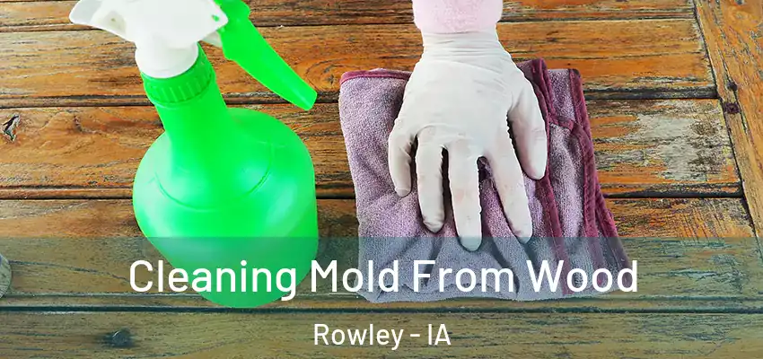  Cleaning Mold From Wood Rowley - IA