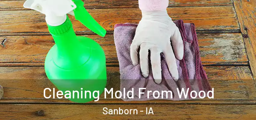  Cleaning Mold From Wood Sanborn - IA
