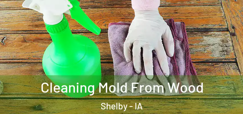 Cleaning Mold From Wood Shelby - IA