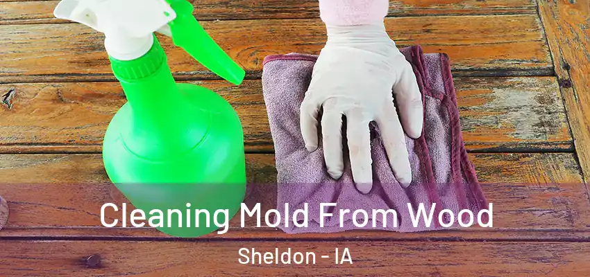 Cleaning Mold From Wood Sheldon - IA