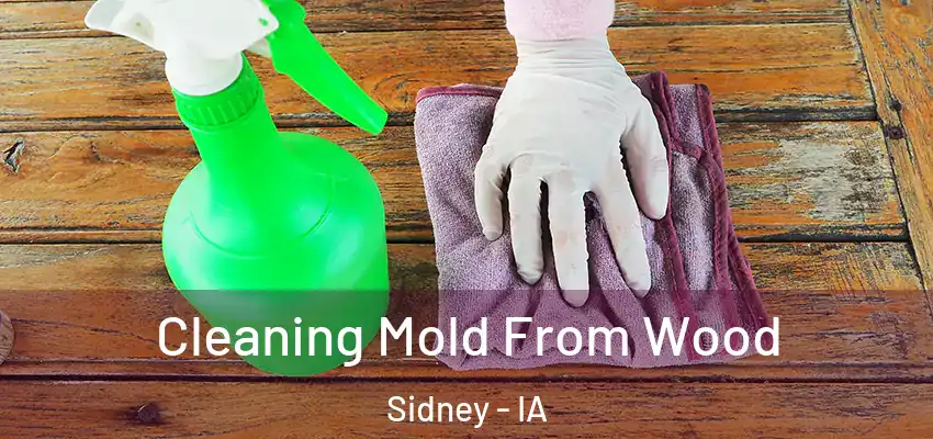  Cleaning Mold From Wood Sidney - IA