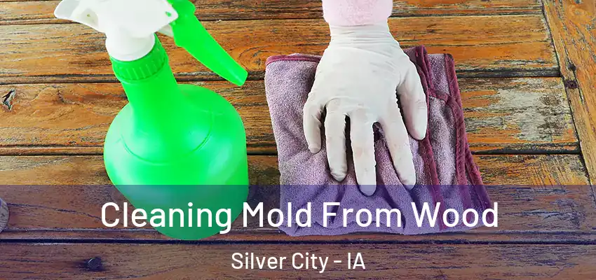  Cleaning Mold From Wood Silver City - IA