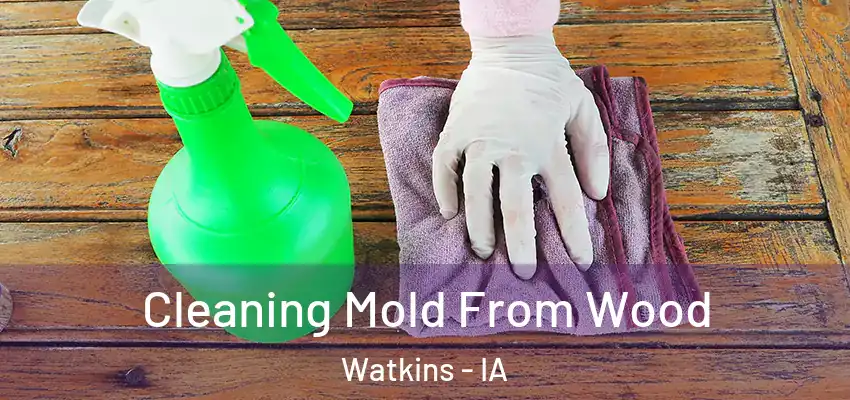  Cleaning Mold From Wood Watkins - IA