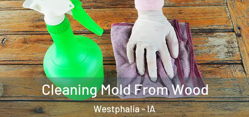 Cleaning Mold From Wood Westphalia - IA