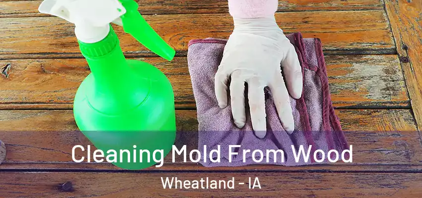  Cleaning Mold From Wood Wheatland - IA