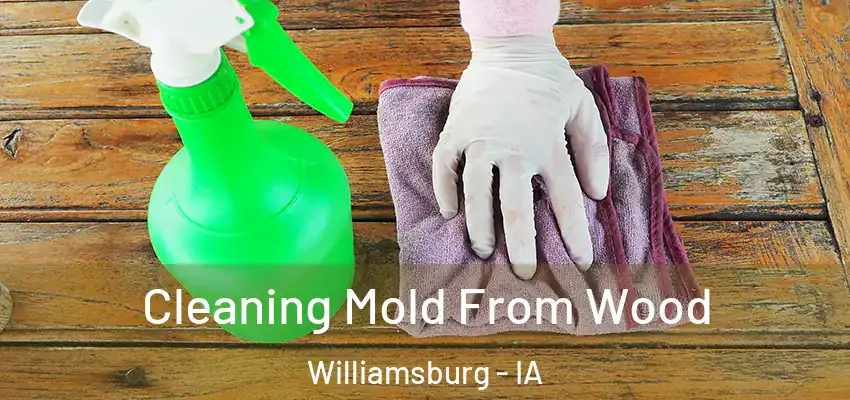  Cleaning Mold From Wood Williamsburg - IA