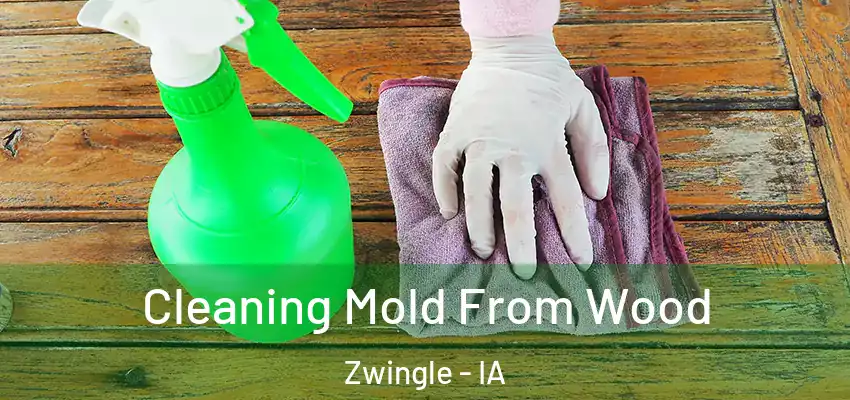  Cleaning Mold From Wood Zwingle - IA