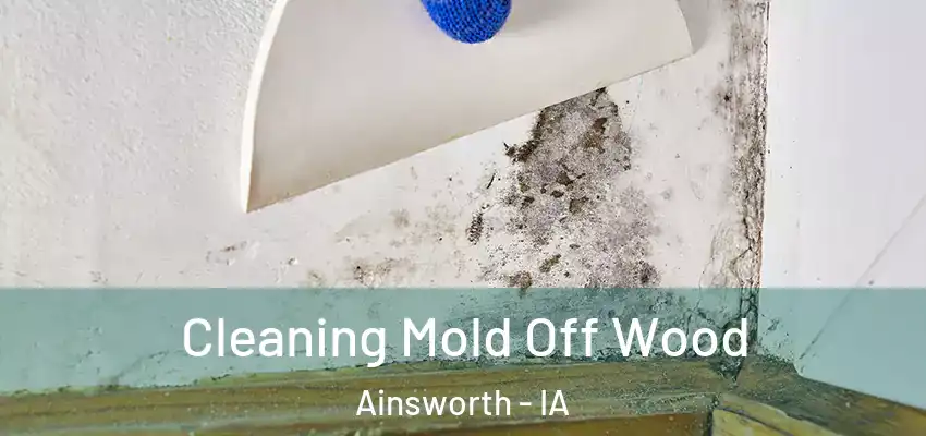 Cleaning Mold Off Wood Ainsworth - IA