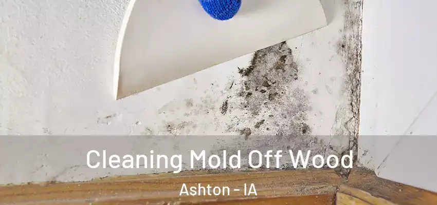  Cleaning Mold Off Wood Ashton - IA