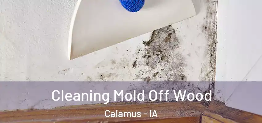  Cleaning Mold Off Wood Calamus - IA