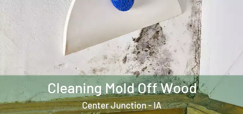  Cleaning Mold Off Wood Center Junction - IA