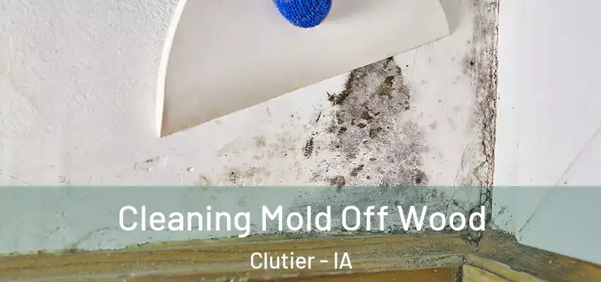  Cleaning Mold Off Wood Clutier - IA