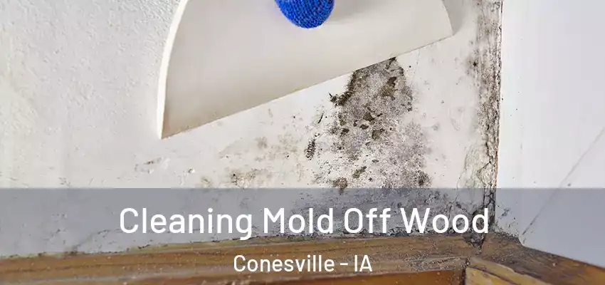  Cleaning Mold Off Wood Conesville - IA