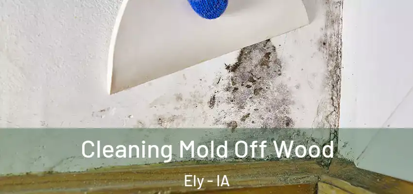  Cleaning Mold Off Wood Ely - IA