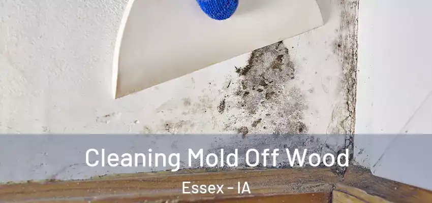 Cleaning Mold Off Wood Essex - IA