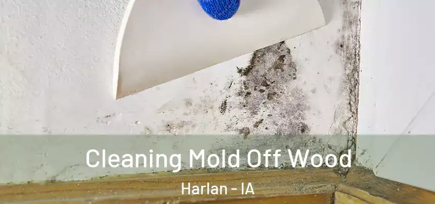 Cleaning Mold Off Wood Harlan - IA