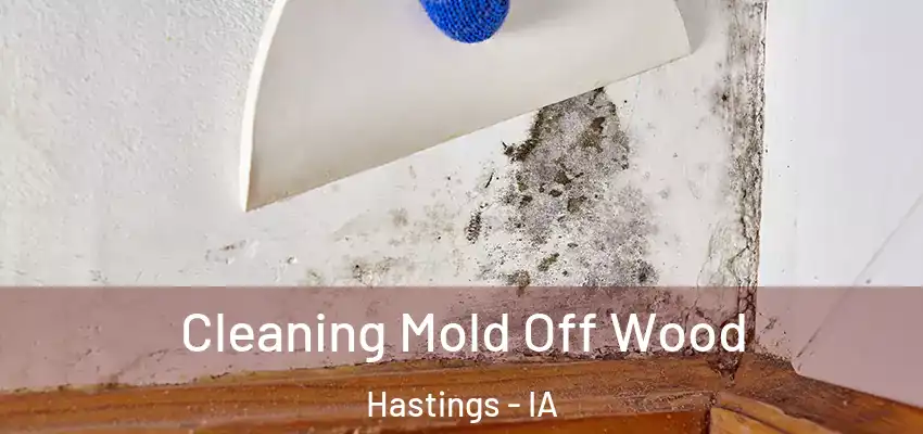 Cleaning Mold Off Wood Hastings - IA