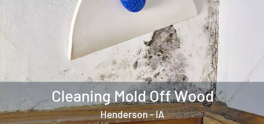  Cleaning Mold Off Wood Henderson - IA