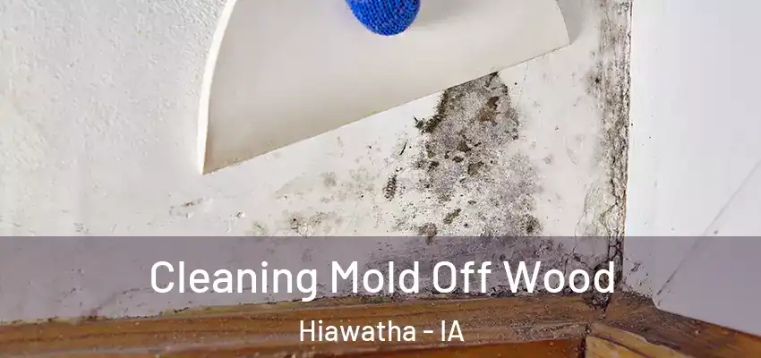 Cleaning Mold Off Wood Hiawatha - IA