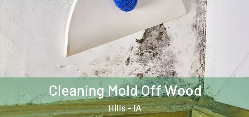  Cleaning Mold Off Wood Hills - IA