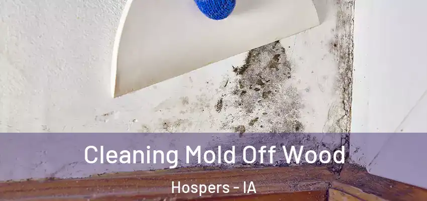  Cleaning Mold Off Wood Hospers - IA