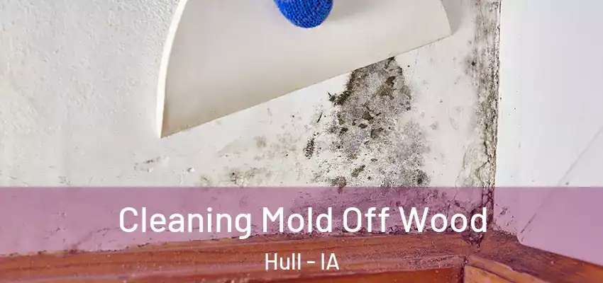  Cleaning Mold Off Wood Hull - IA