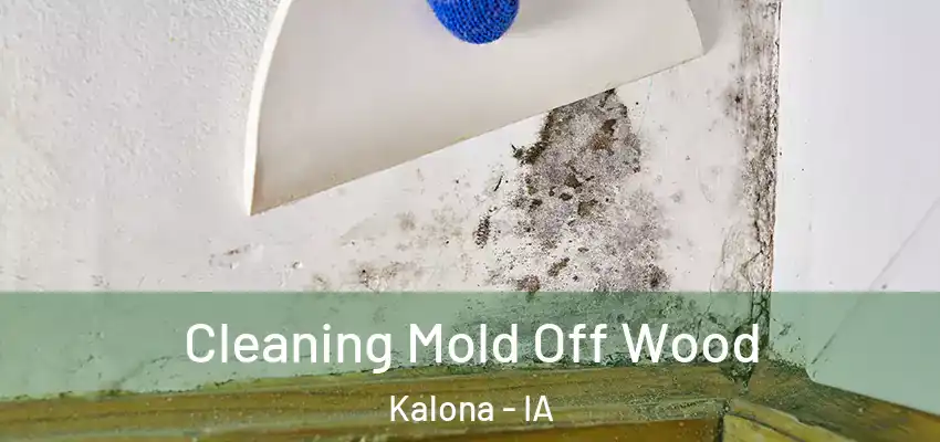 Cleaning Mold Off Wood Kalona - IA