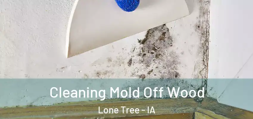 Cleaning Mold Off Wood Lone Tree - IA