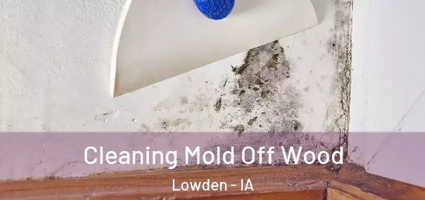  Cleaning Mold Off Wood Lowden - IA